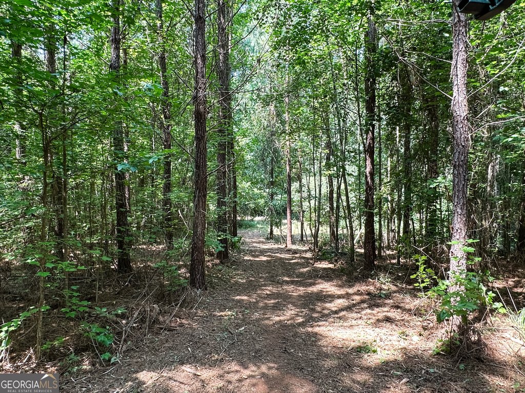 Picture 27
