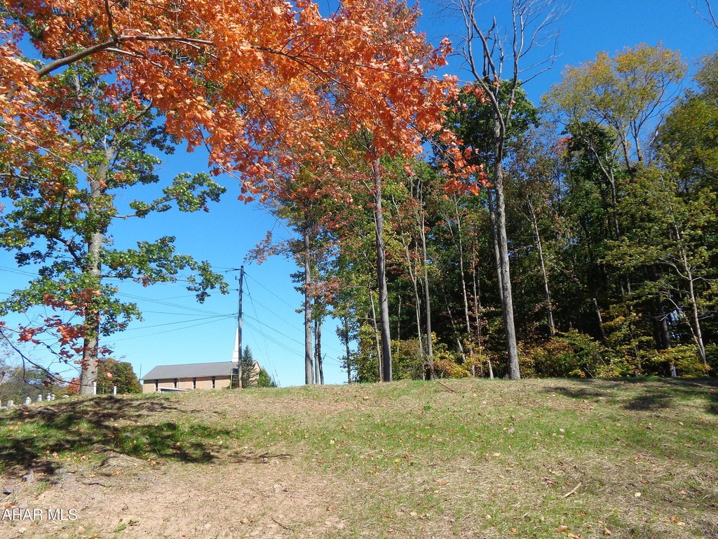 Picture 2