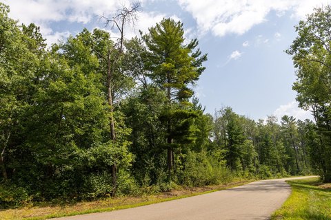 Wooded Residential Land Parcel
