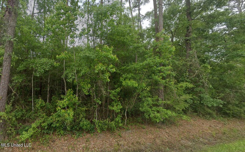 Picture 2