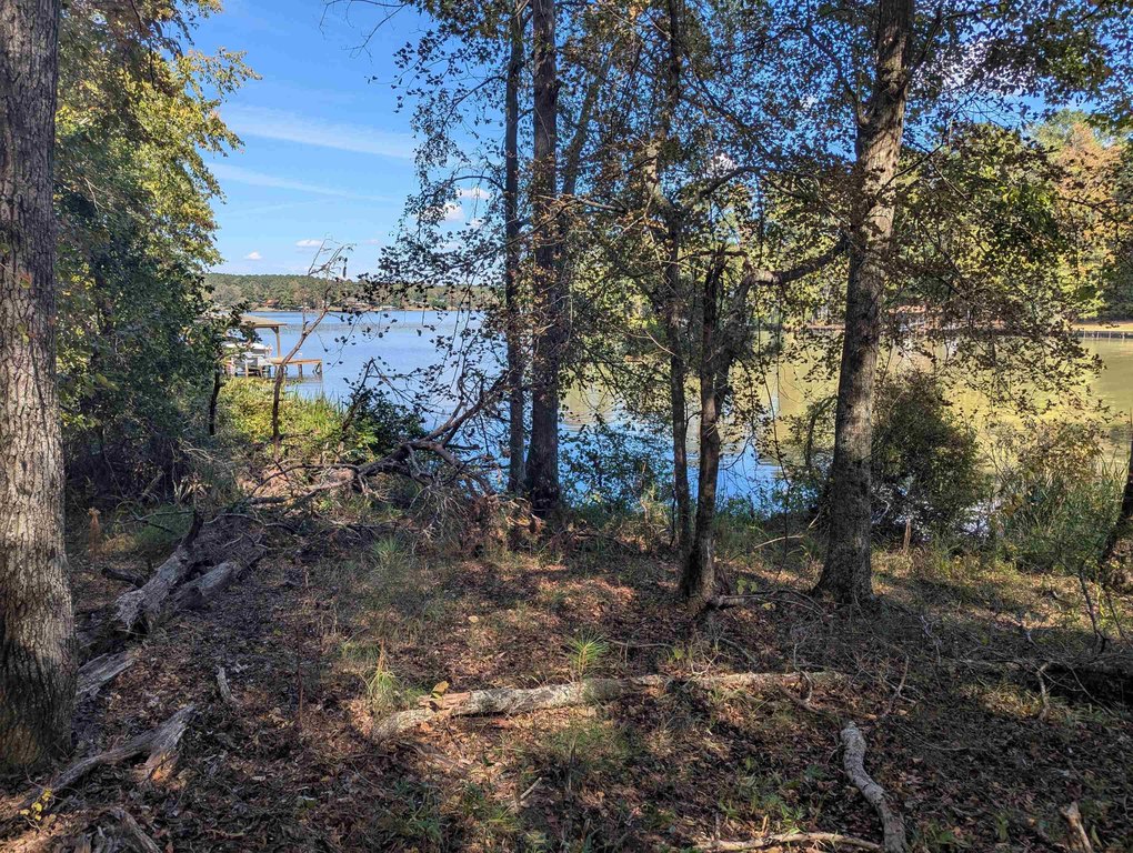 Picture 7