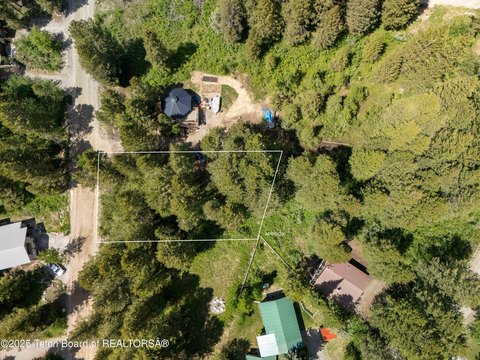 Wooded Lot in Star Valley