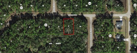 Land, Citrus Springs, FL
