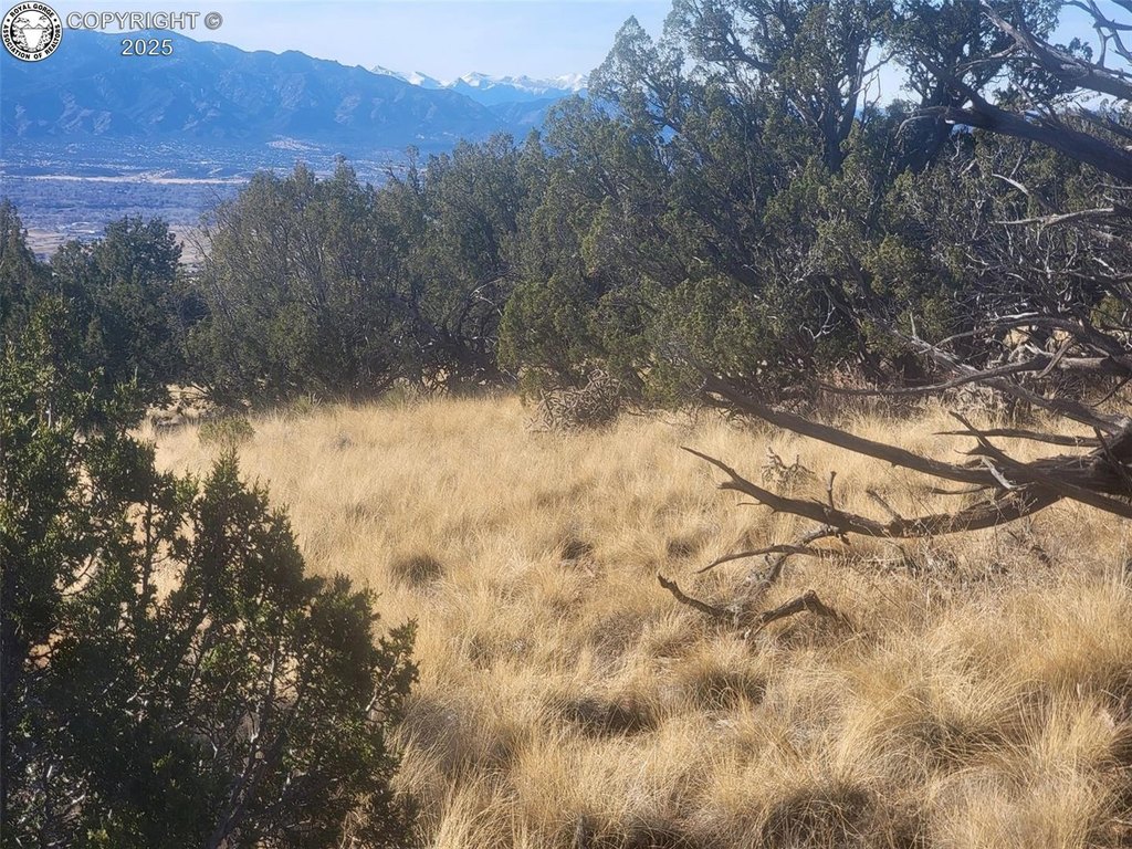 Picture 21