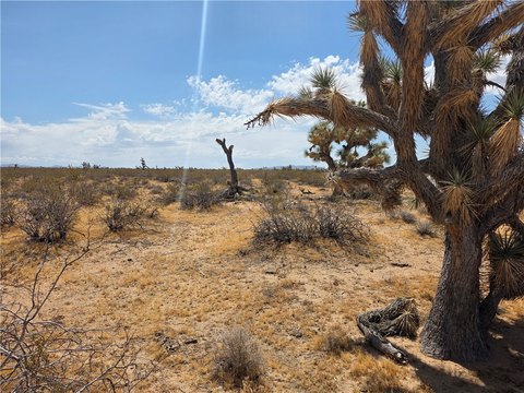 40 Acres in Yucca, AZ