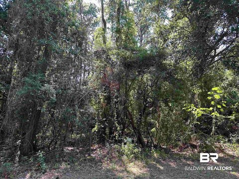 Residential Lots in Fairhope, AL