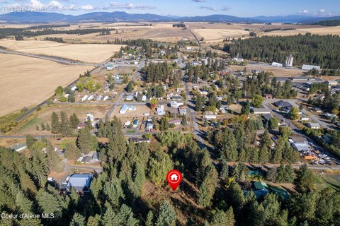 Wooded Lot in Worley, ID