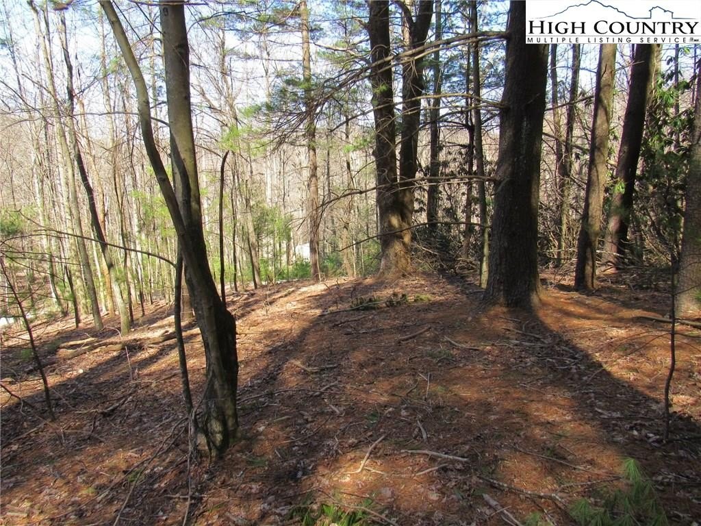 Wooded Lot in Gated Subdivision