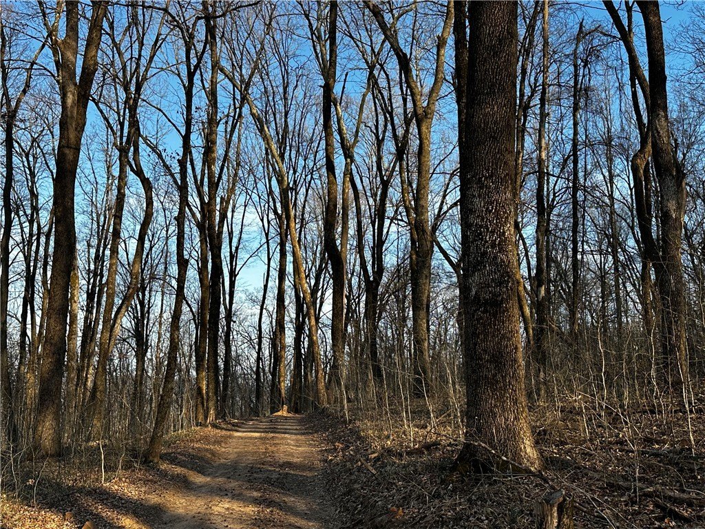 52.75 Acres of Ozarks Wilderness