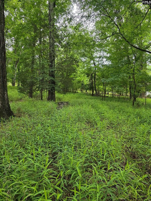 Picture 8