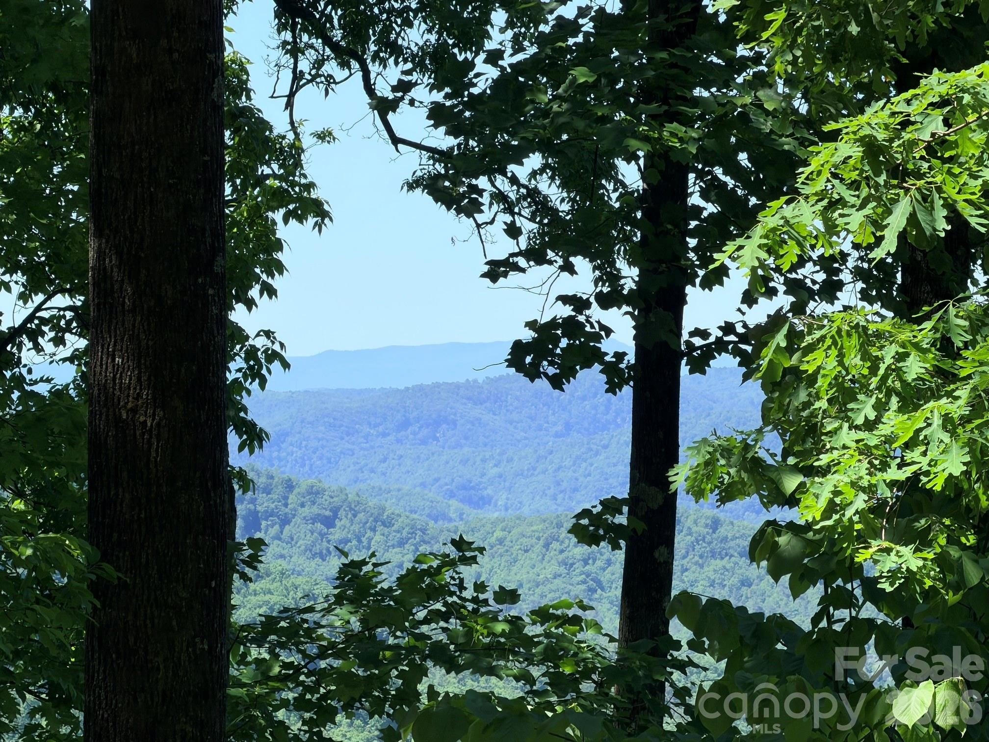 Ridge-Top Land with Mountain Views