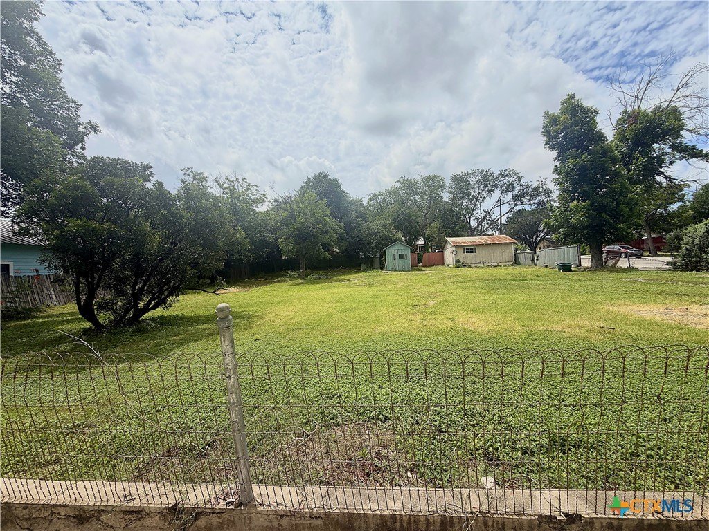 Picture 5