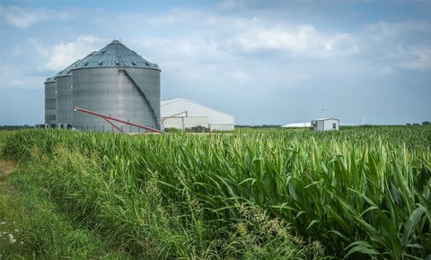 Highly Productive Irrigated Farm