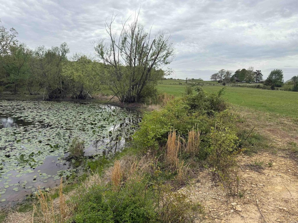 Picture 41