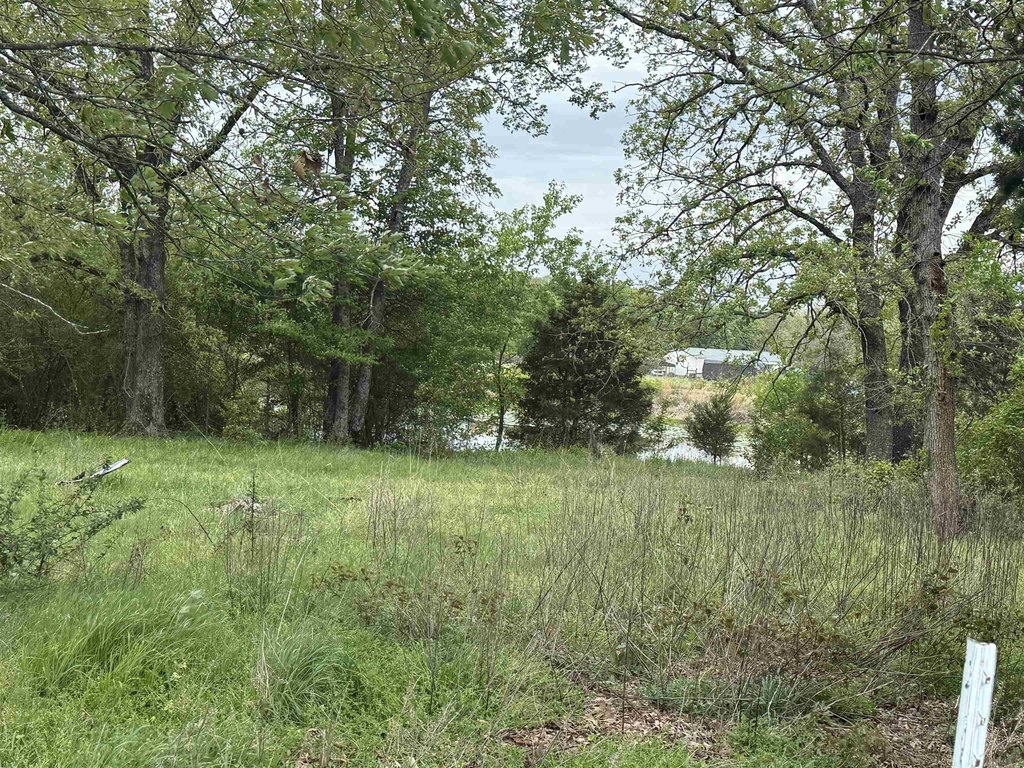 Picture 27