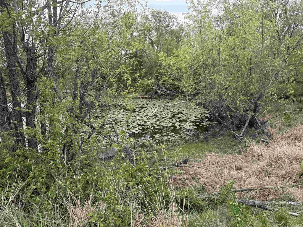 Picture 39