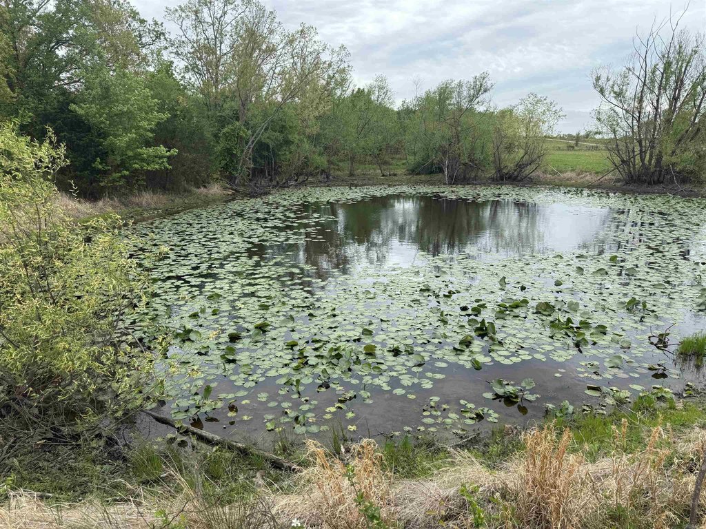 Picture 44