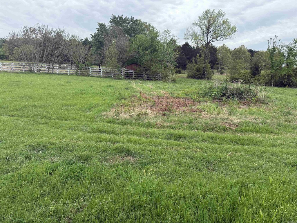 Picture 8