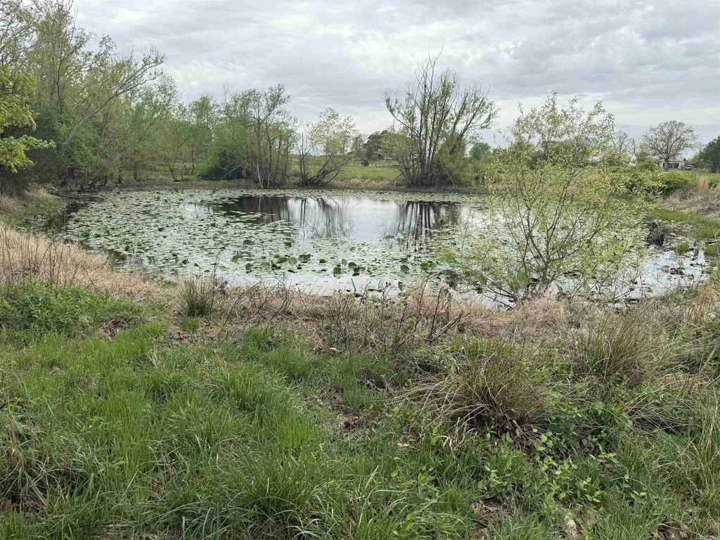 Picture 43
