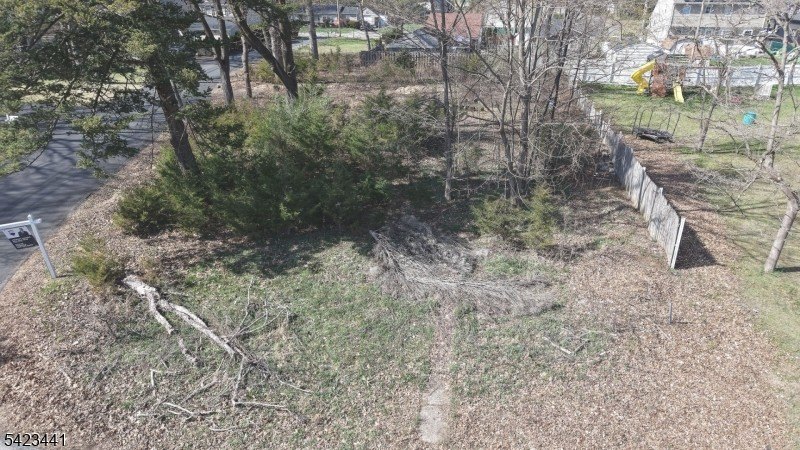 Picture 7