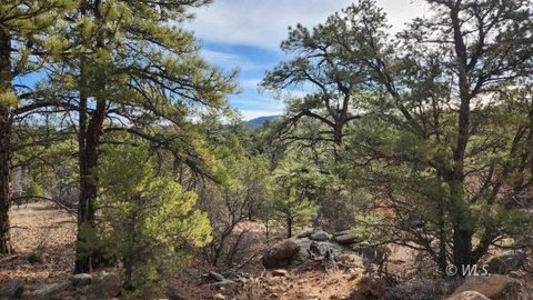 Secluded Mountain Land in Cotopaxi