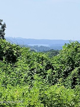 Harriman, TN Land Parcel