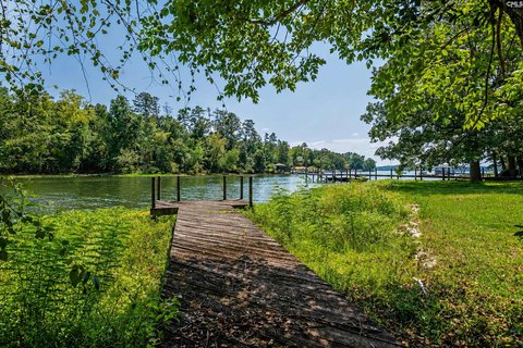 LOTS AND ACREAGE, Chapin, SC