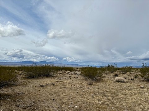 Dolan Springs Land For Sale