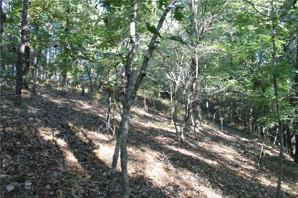 Picture 16