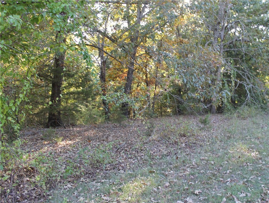 Picture 15