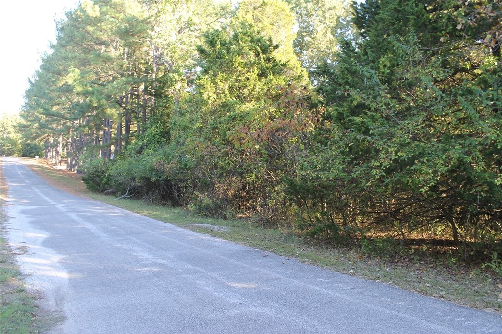 Picture 17