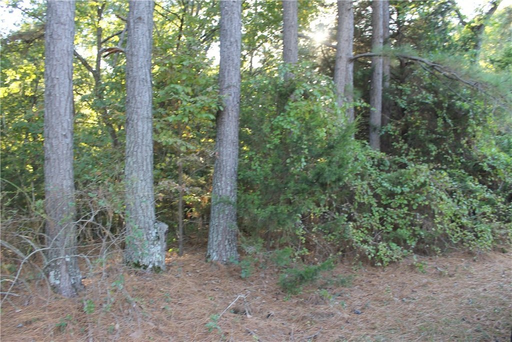 Picture 18