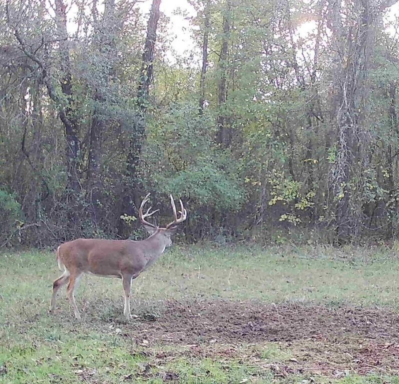 Picture 34