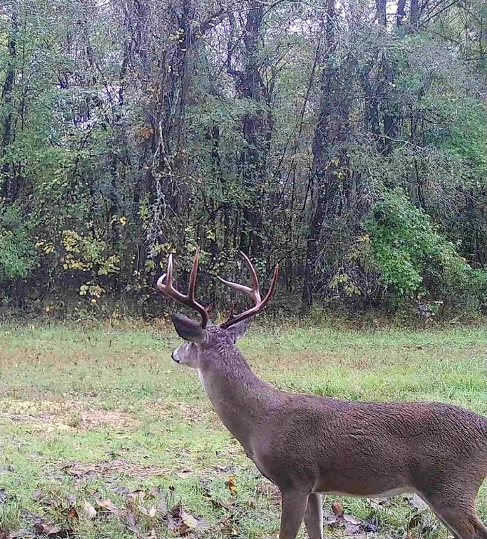 Picture 36