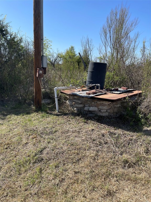 Picture 19