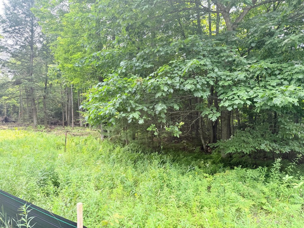 Picture 23