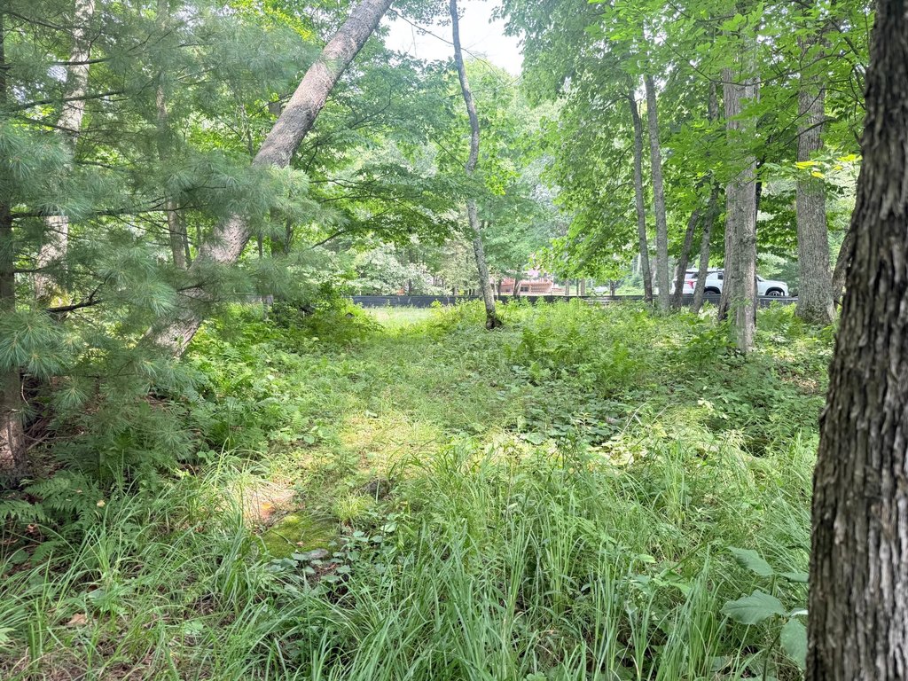 Picture 25