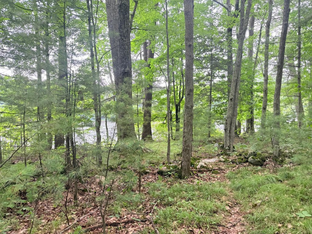 Picture 28