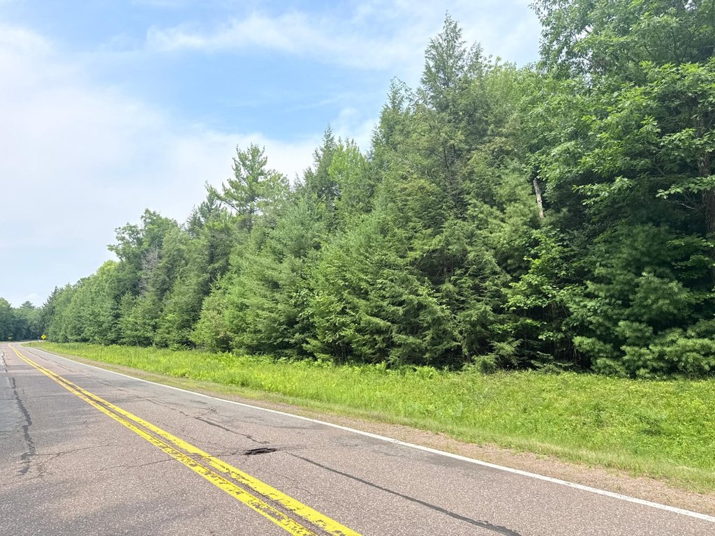 Picture 19