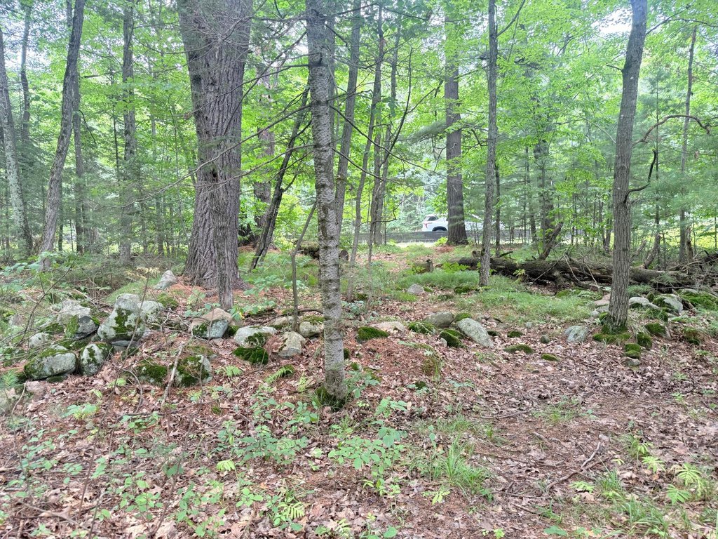 Picture 29