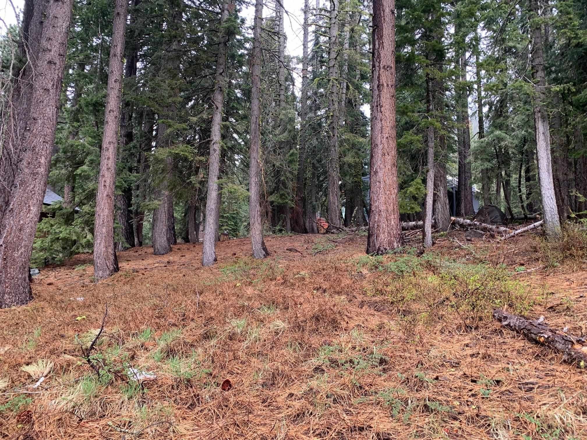 Tahoe City Land Investment