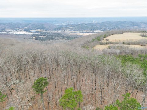 Bluff-View Lot in Fort Payne