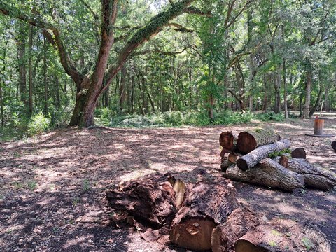 Wooded Lot in Desirable Location