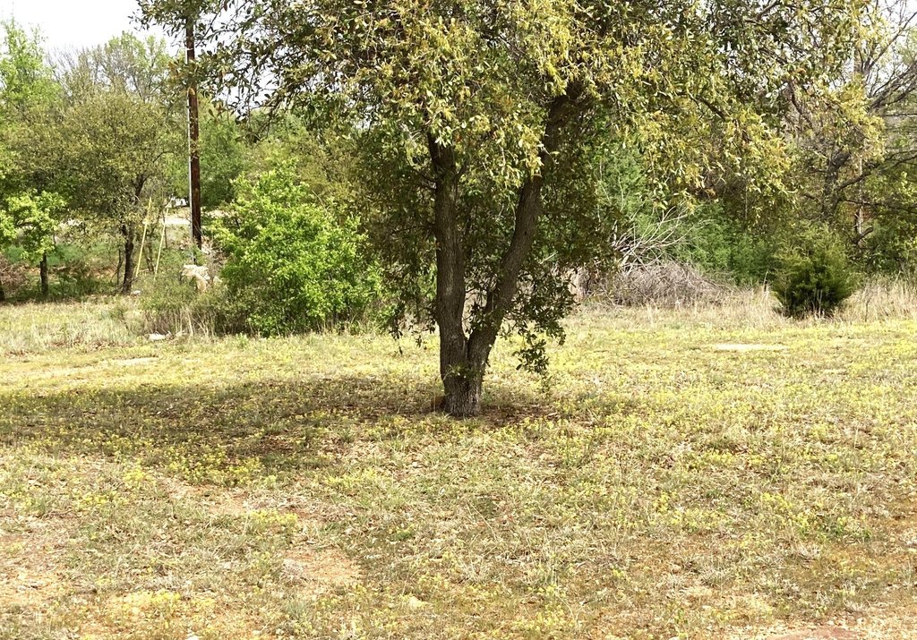 Picture 4