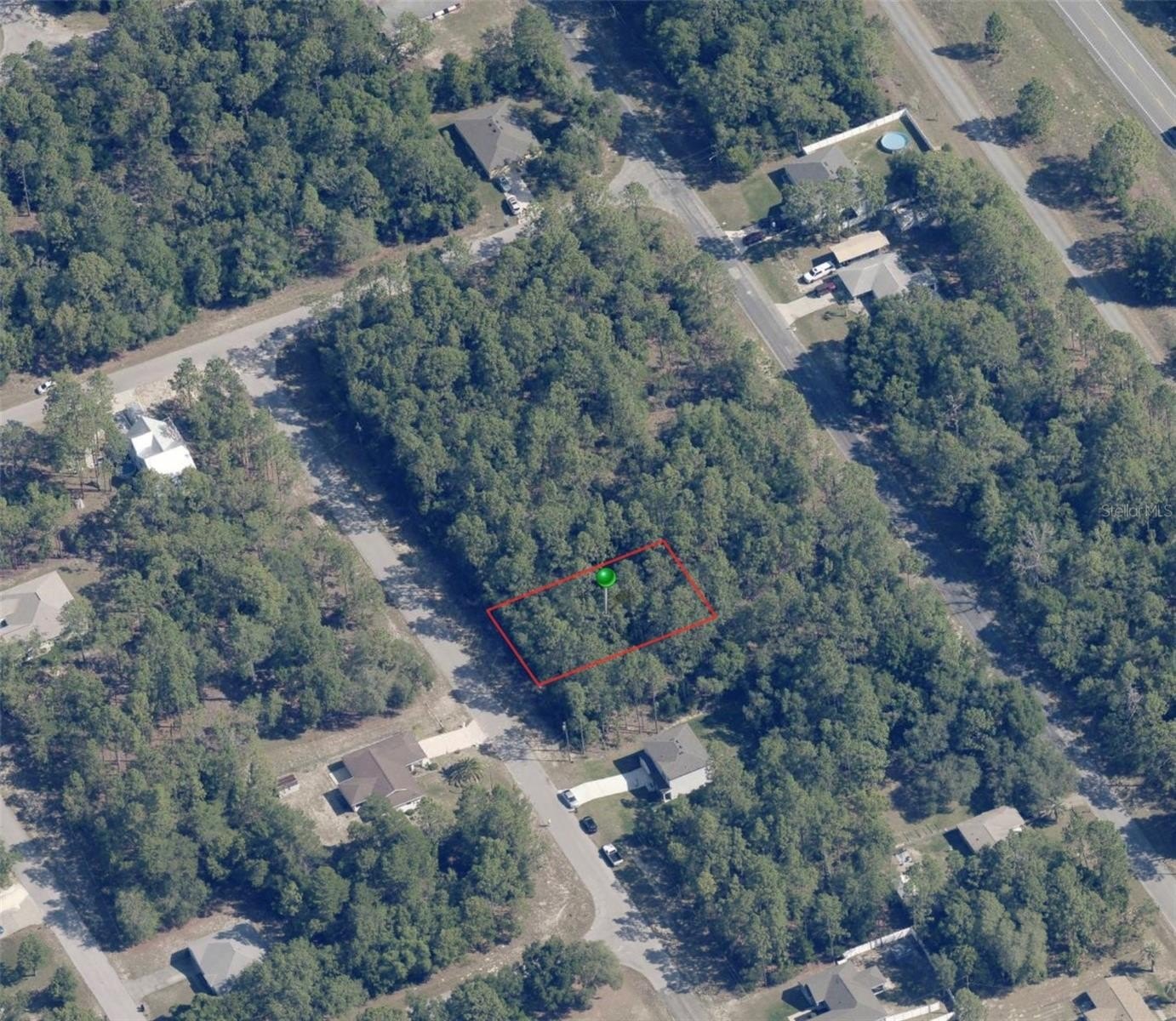 Citrus Springs Wooded Lot