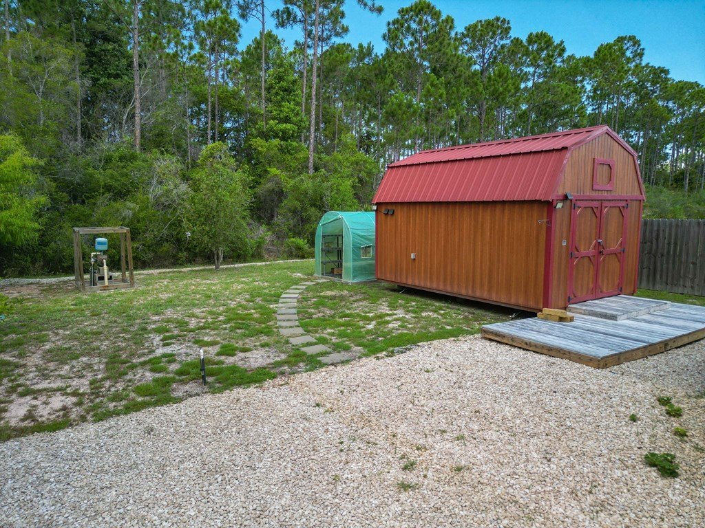 Picture 6