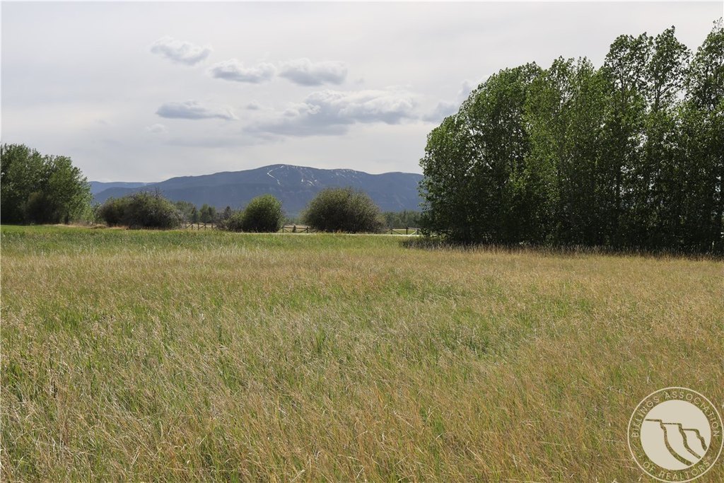 Picture 19