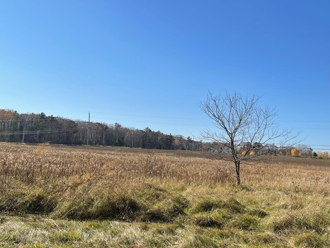 Door County Land Opportunity