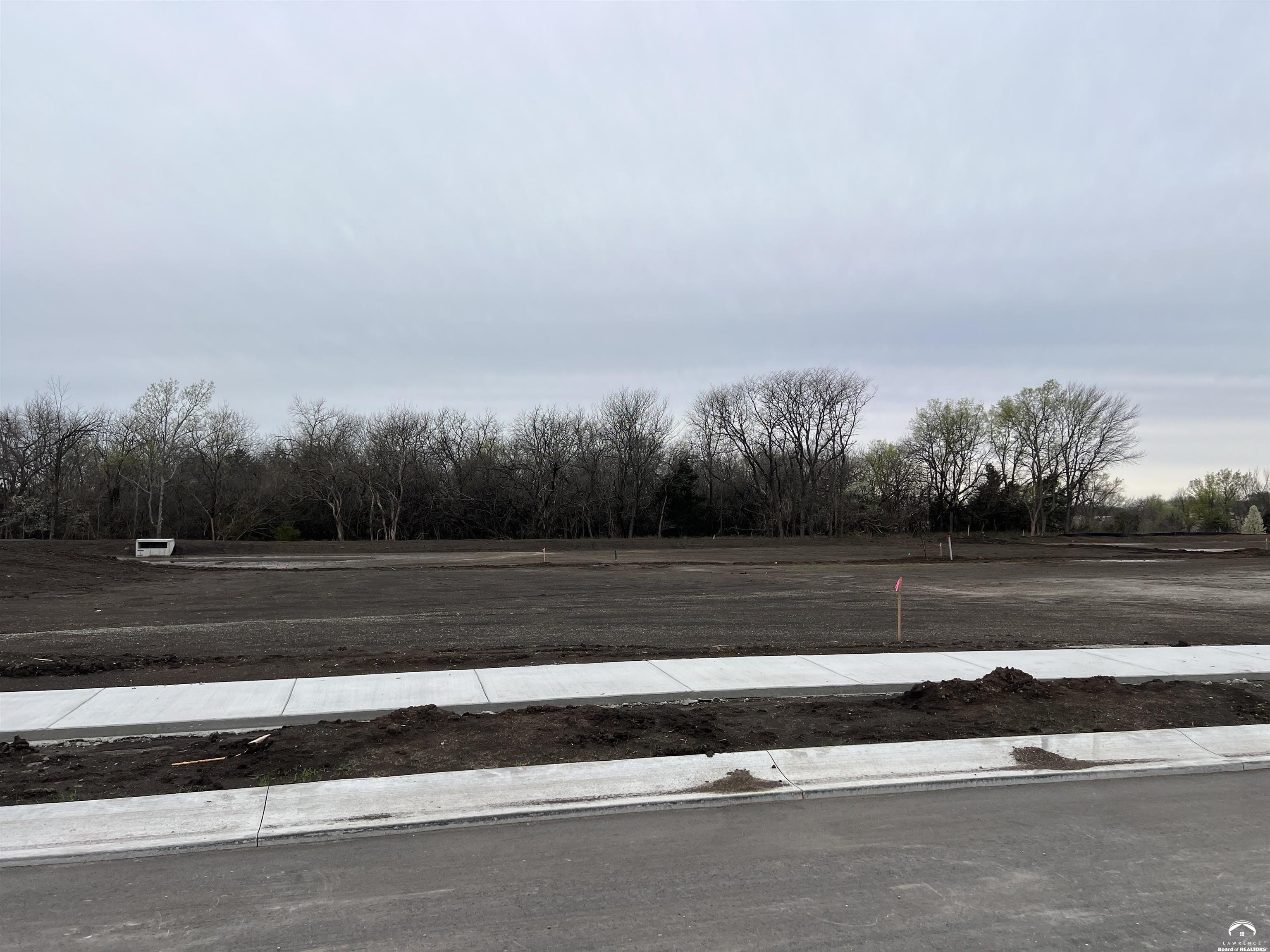 Residential Land in Baldwin City