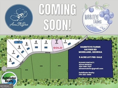 Moreland, GA Land Development Opportunity